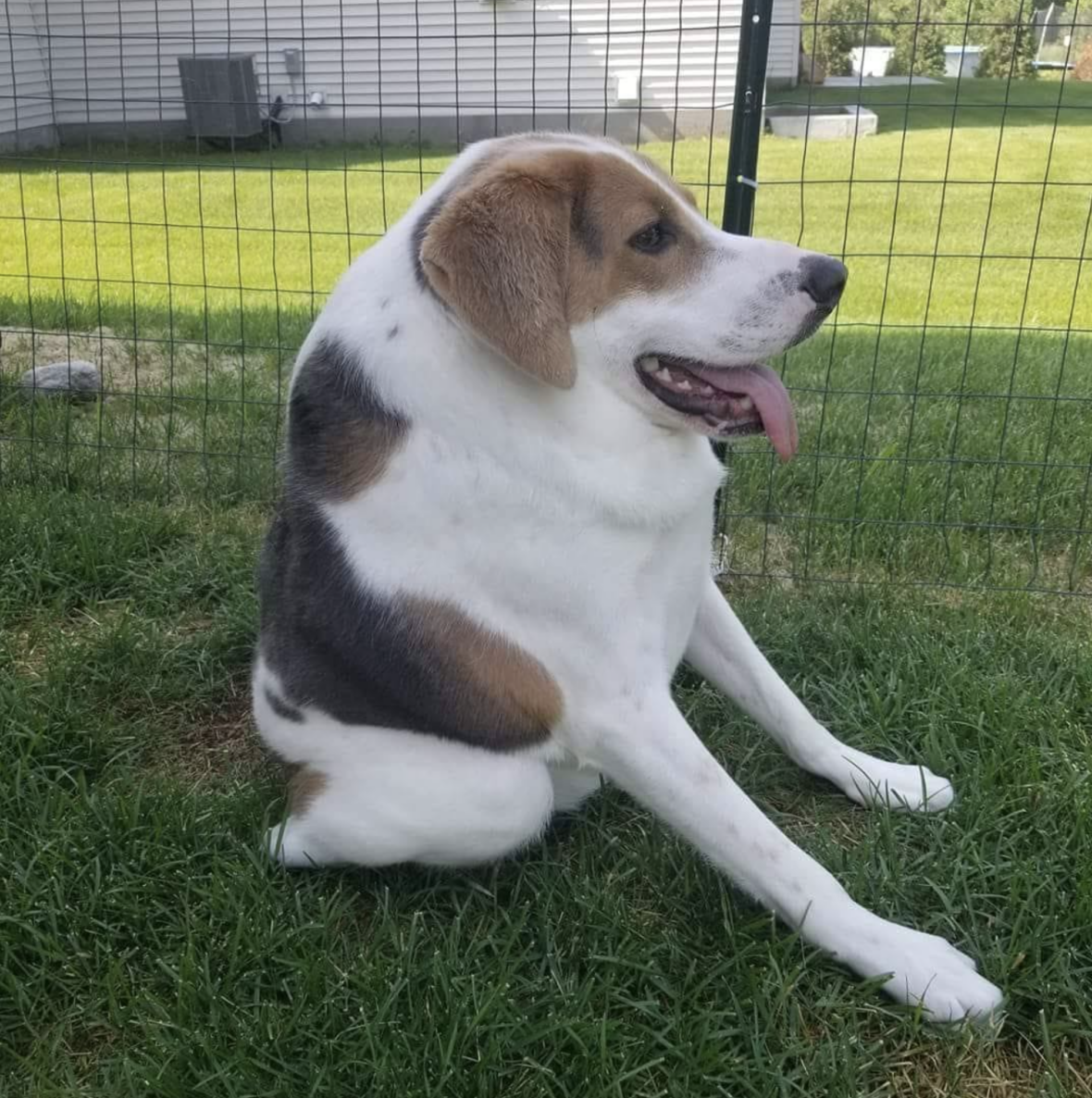 Cooper